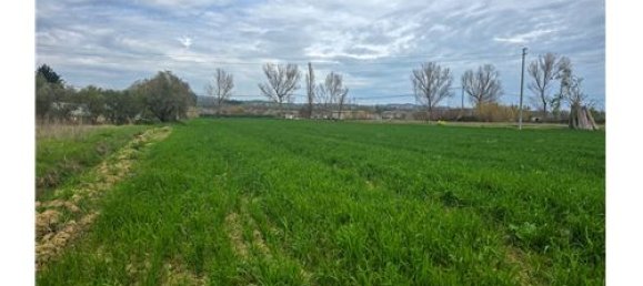 Terrain à Cappelle sul Tavo, Italy 1050m² No. 275928 5