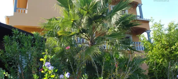 4 غرف نوم منزل في Faro, Portugal رقم 67681 17