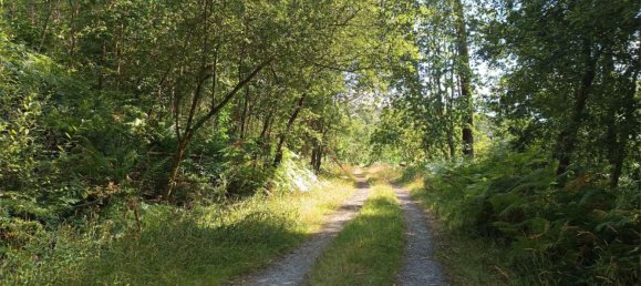 Casa de 4 dormitorios en Carral, Spain No. 166498 2