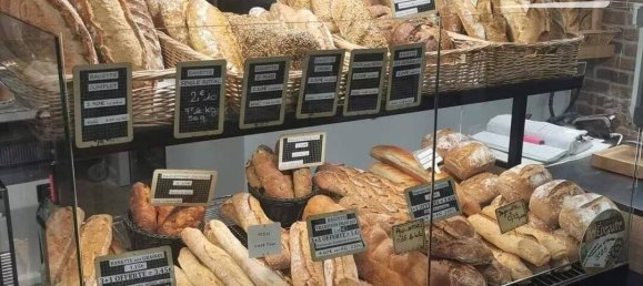 156m² Commercial property in Saint-Etienne-de-Saint-Geoirs, France No. 197652 4