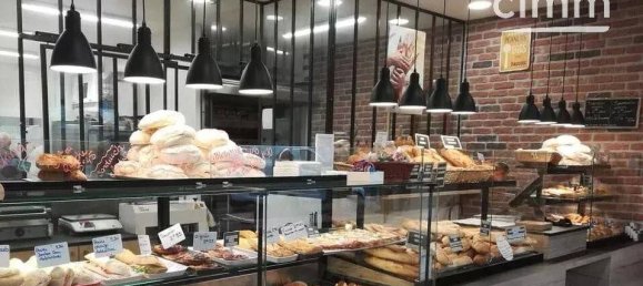 156m² Commercial property in Saint-Etienne-de-Saint-Geoirs, France No. 197652 3