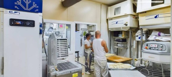 156m² Commercial property in Saint-Etienne-de-Saint-Geoirs, France No. 197652 6