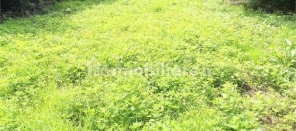 2 غرف نوم منزل في Casalvolone, Italy رقم 284164 10