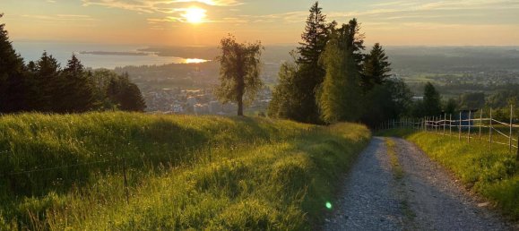 3غرفة شقة في Lochau, Austria رقم 151912 25