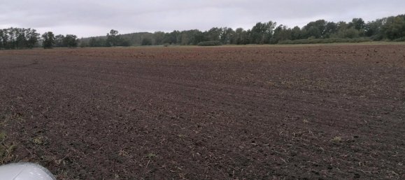  قطعة أرض في Anhalt-Bitterfeld, Germany رقم 309841 3