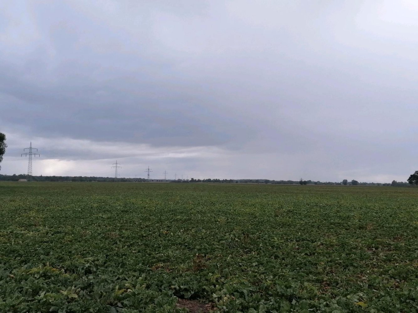  قطعة أرض في Anhalt-Bitterfeld, Germany رقم 309841