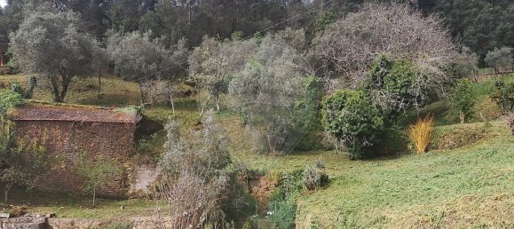 1350m² Land in Torres do Mondego, Portugal No. 161812 7