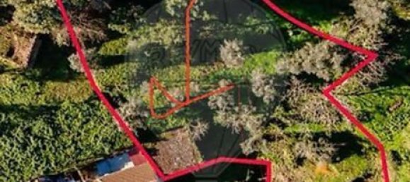 1350m² Land in Torres do Mondego, Portugal No. 161812 3