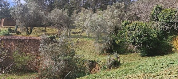 1350m² Land in Torres do Mondego, Portugal No. 161812 5