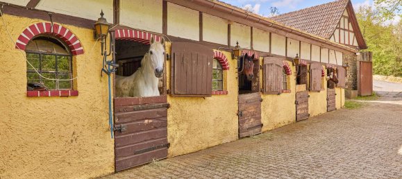 10غرفة فندق في Hochtaunuskreis, Germany رقم 226897 8