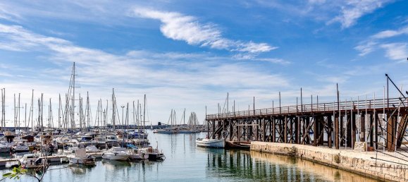 Квартира с 3 спальнями в Торревьеха, Испания № 100656 13