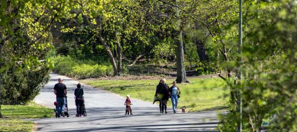 Studio in Kreuzberg, Germany, Nr. 66585 18