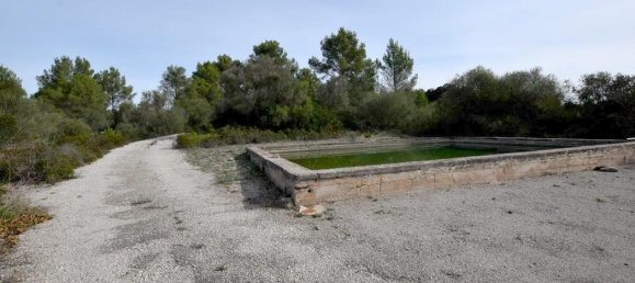 Apartamento de 4 dormitorios en Santa Maria Del Cami, Spain No. 145234 10