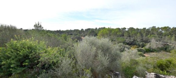 Apartamento de 4 dormitorios en Santa Maria Del Cami, Spain No. 145234 20