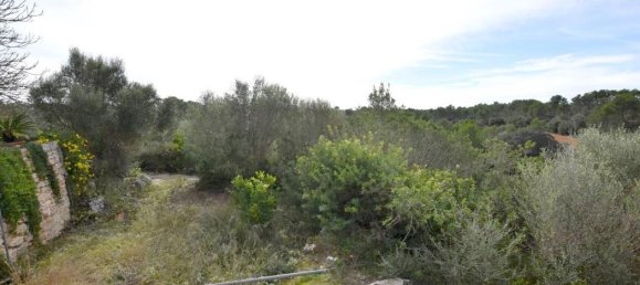 Apartamento de 4 dormitorios en Santa Maria Del Cami, Spain No. 145234 21