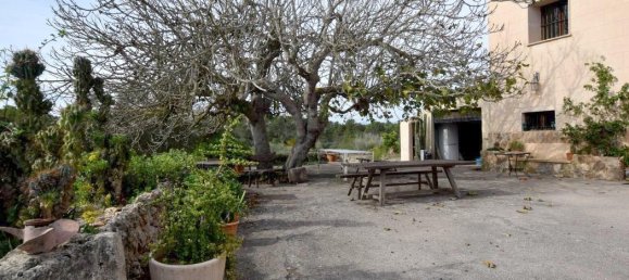 Apartamento de 4 dormitorios en Santa Maria Del Cami, Spain No. 145234 28