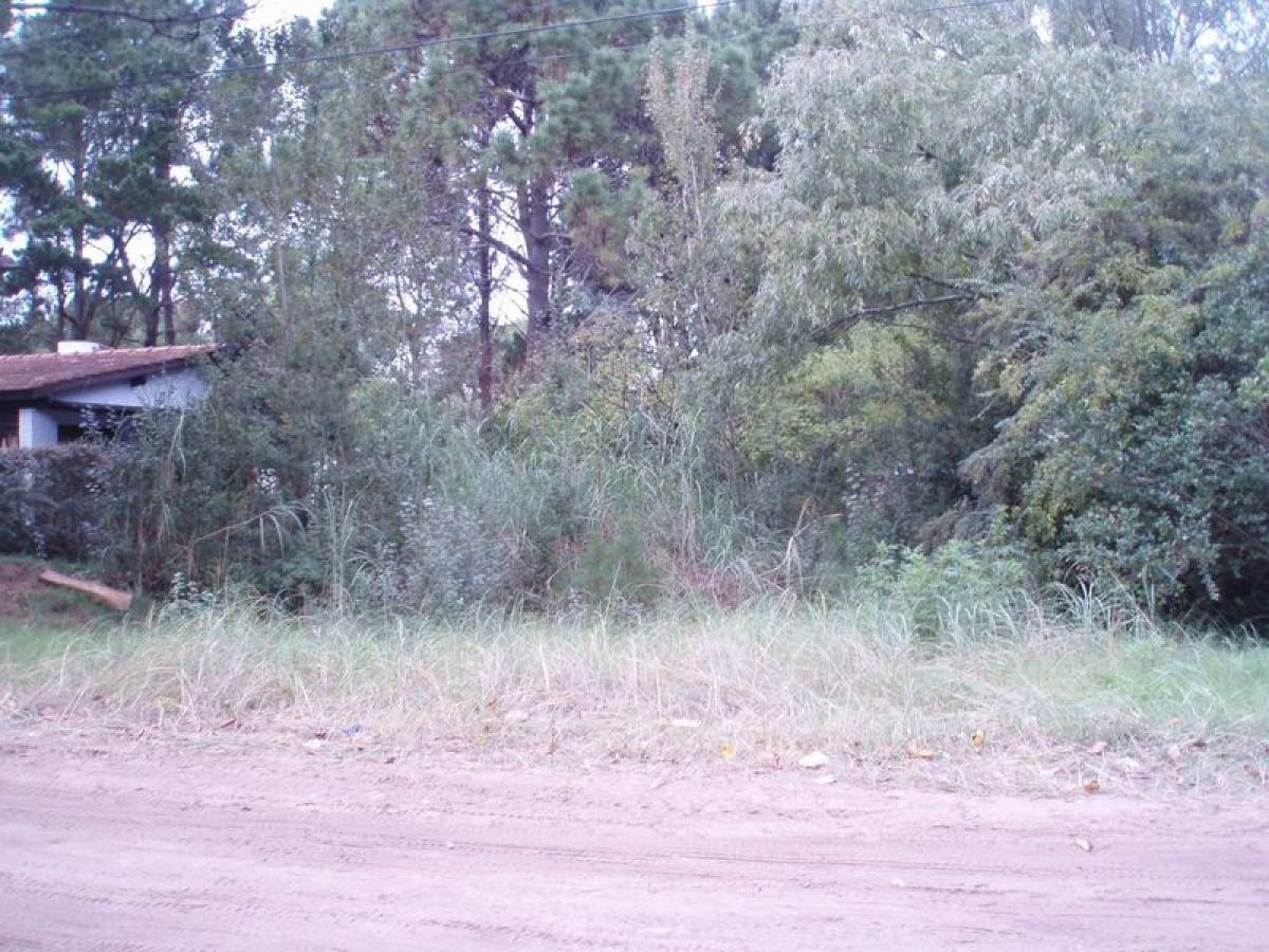 Terrain à Mar del Plata, Argentina No. 115638