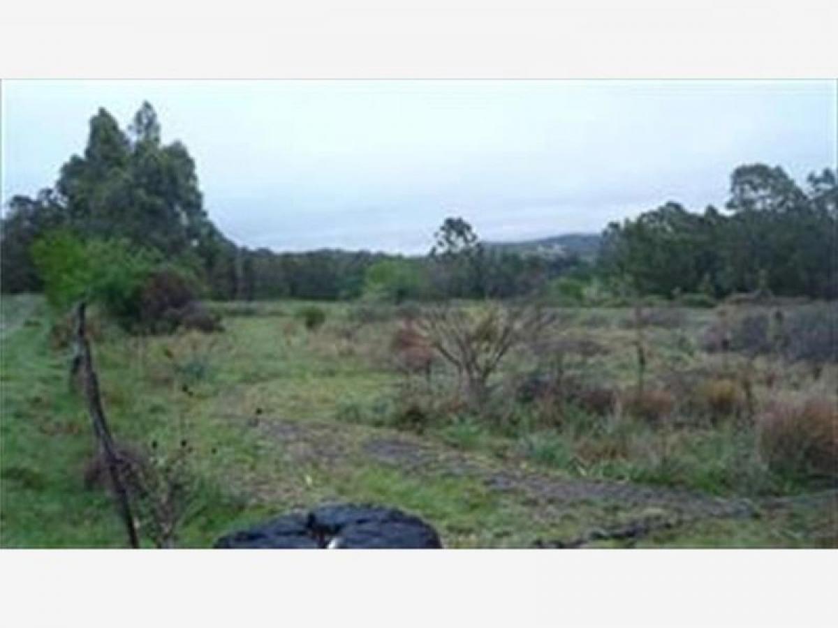  Land in Tandil, Argentina No. 36909