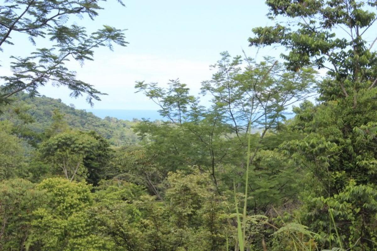  Land in Puerto Jimenez, Costa Rica No. 1689