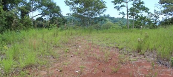  Land in Puerto Jimenez, Costa Rica No. 1689 6