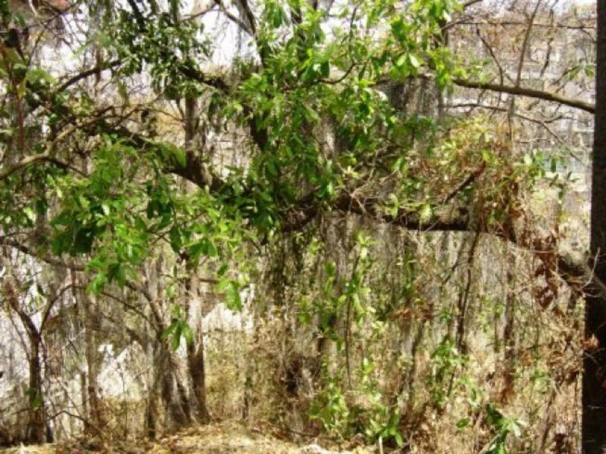 Grundstück in Ciudad Lopez Mateos, Mexico, Nr. 205395