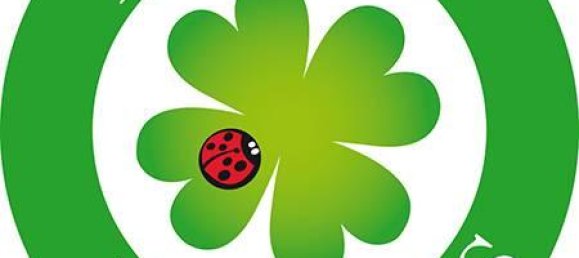 4 rooms Apartment in Palermo, Italy No. 139407 2