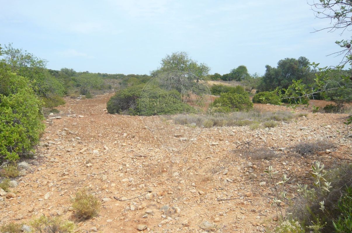 13040m² Land in Faro, Portugal No. 47555