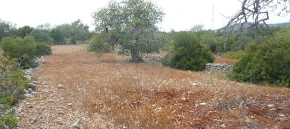 13040m² Land in Faro, Portugal No. 47555 2