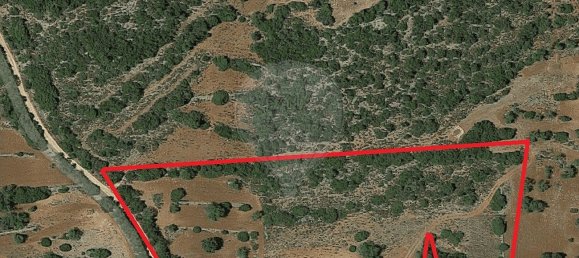 13040m² Land in Faro, Portugal No. 47555 5