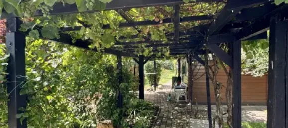 Bungalow de 2 dormitorios en Jerichower Land, Germany No. 241123 26