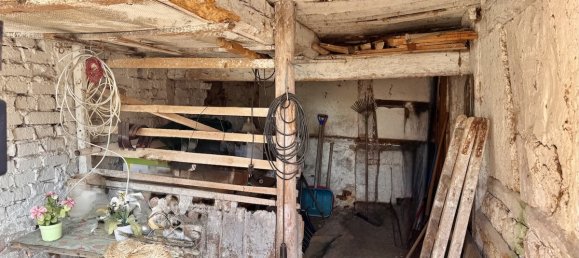 3 rooms House in Vorpommern-Greifswald, Germany No. 262531 11