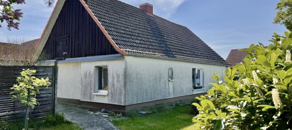 3 rooms House in Vorpommern-Greifswald, Germany No. 262531 13