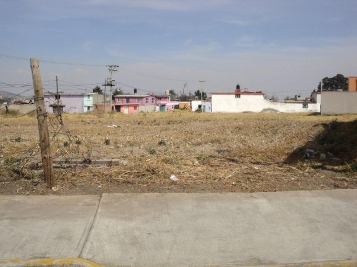 Terrain à Zinacantepec, Mexico No. 203268