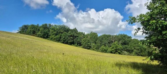 5 bedrooms House in Rieumes, France No. 361600 10