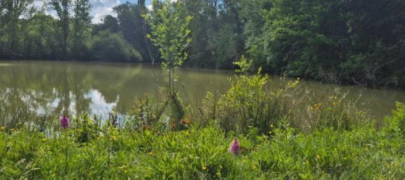 5 bedrooms House in Rieumes, France No. 361600 8