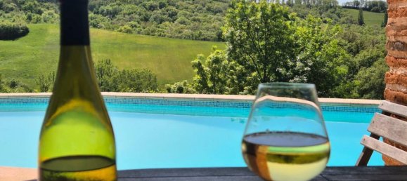 5 bedrooms House in Rieumes, France No. 361600 7