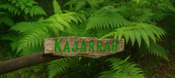 6 bedrooms House in Maleny, Australia No. 410 12