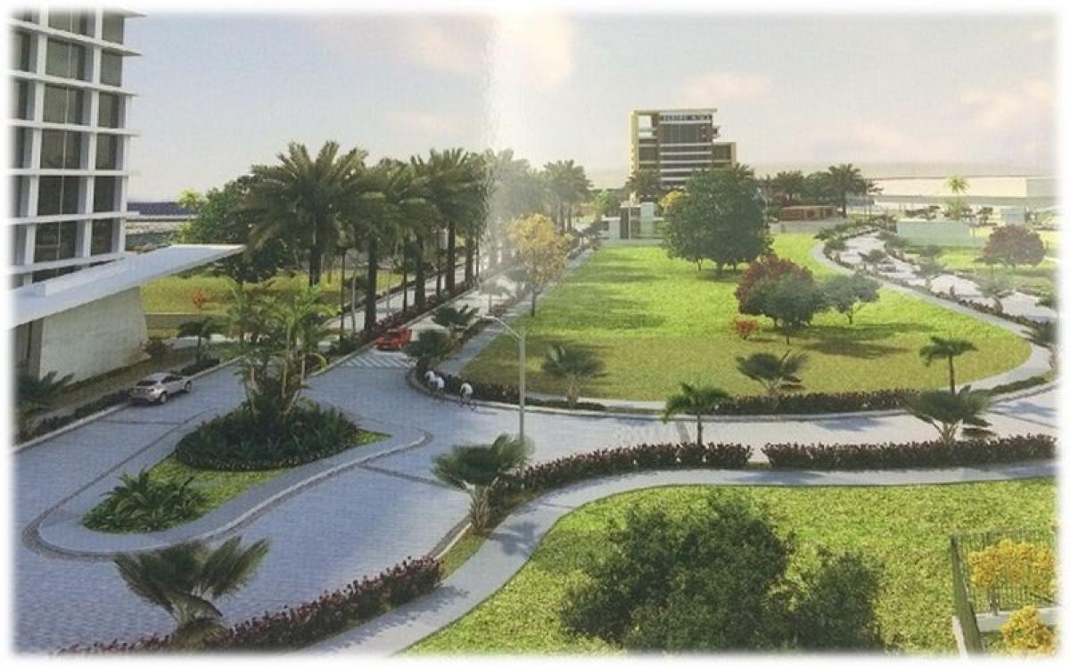  Land in Veracruz, Mexico No. 206202