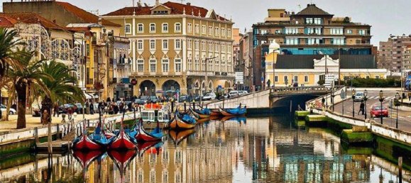 Земельный участок 3000м² в Авейру, Португалия № 64856 4