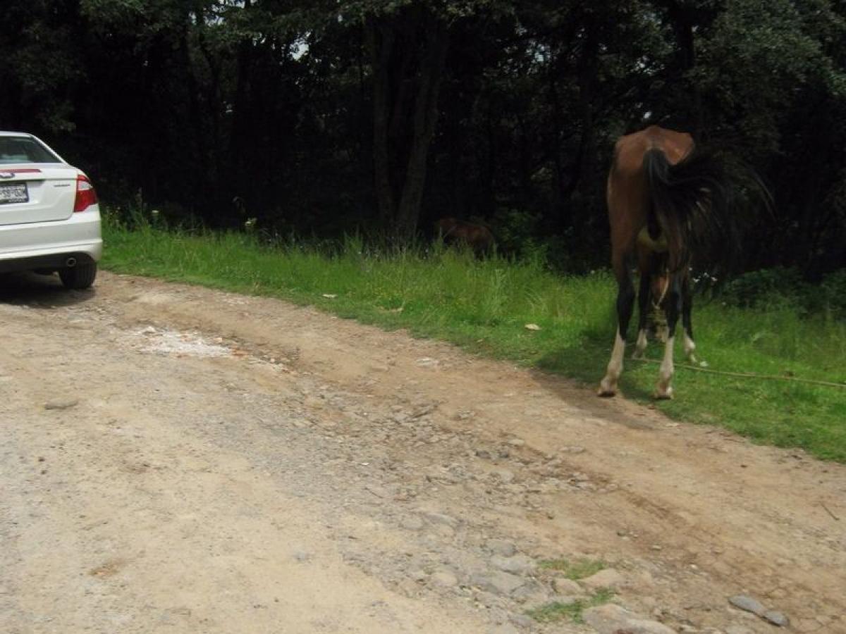  Land in Villa del Carbon, Mexico No. 203513