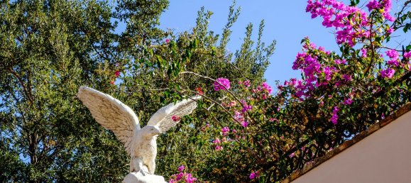 Terreno em Estepona, Spain 5000 m² N.º 100786 28