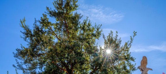 Terreno em Estepona, Spain 5000 m² N.º 100786 25