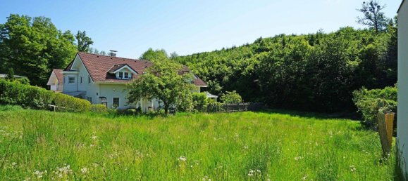 1079m² Land in Breitenfurt bei Wien, Austria No. 165182 2