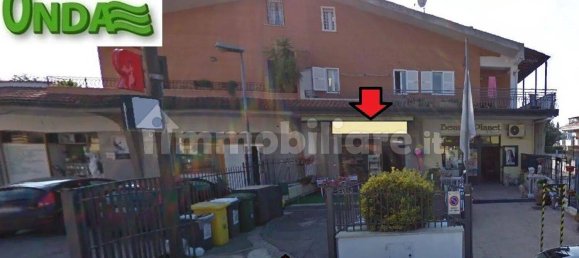 2 rooms Commercial property in Ciampino, Italy No. 153227 4