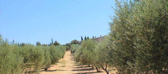 5500m² Hotel in Rethymno, Greece No. 7589 4