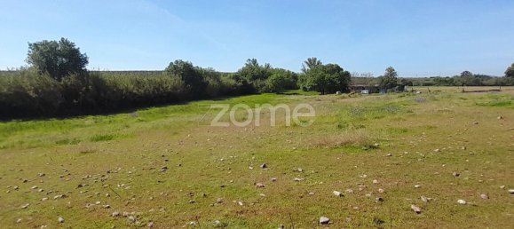 10000m² Land in Campo Maior, Portugal No. 86160 31