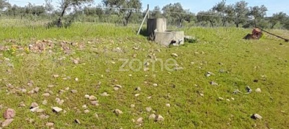 10000m² Land in Campo Maior, Portugal No. 86160 35