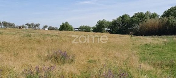 10000m² Land in Campo Maior, Portugal No. 86160 6