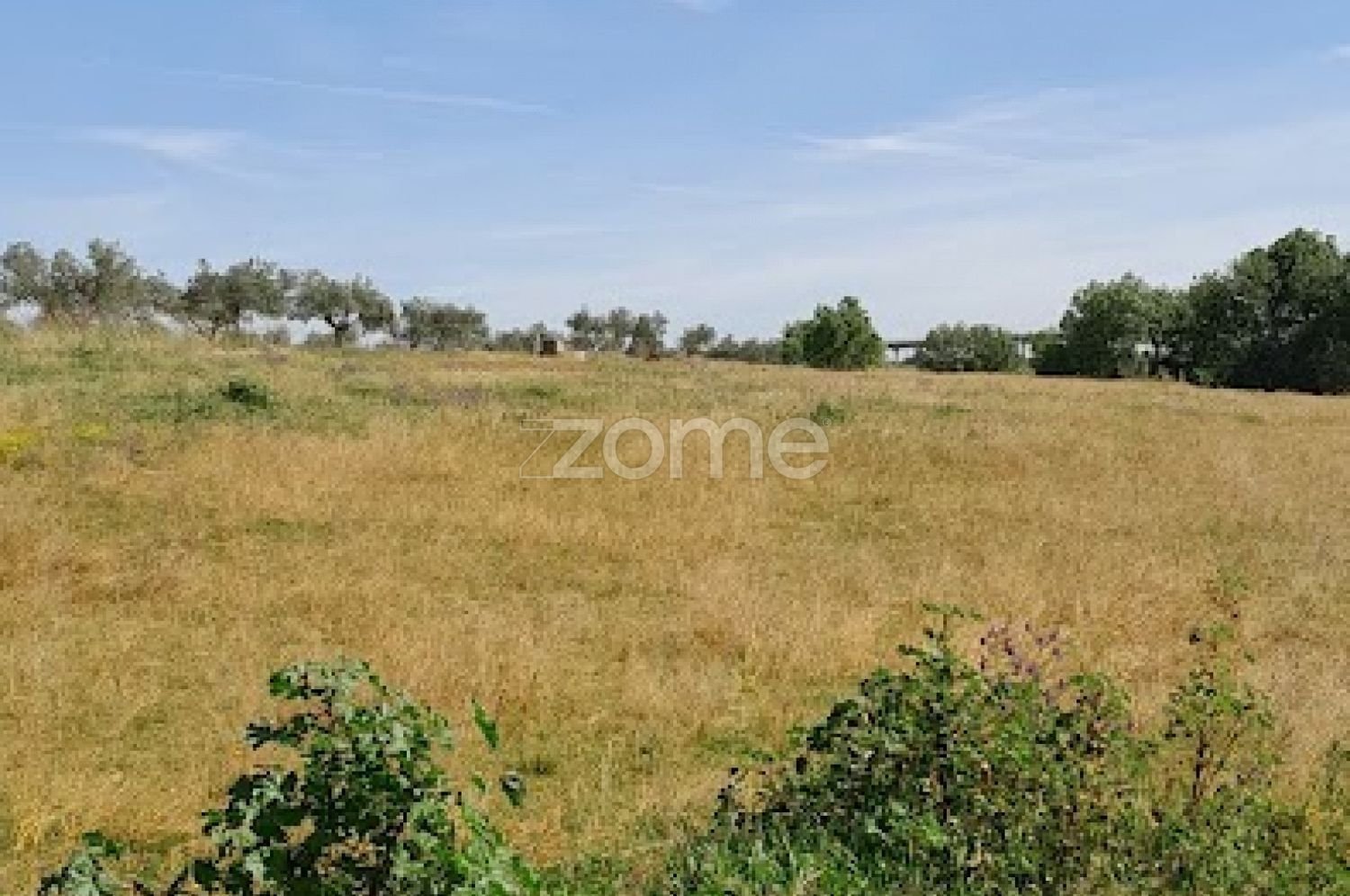10000m² Land in Campo Maior, Portugal No. 86160
