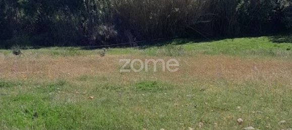 10000m² Land in Campo Maior, Portugal No. 86160 26